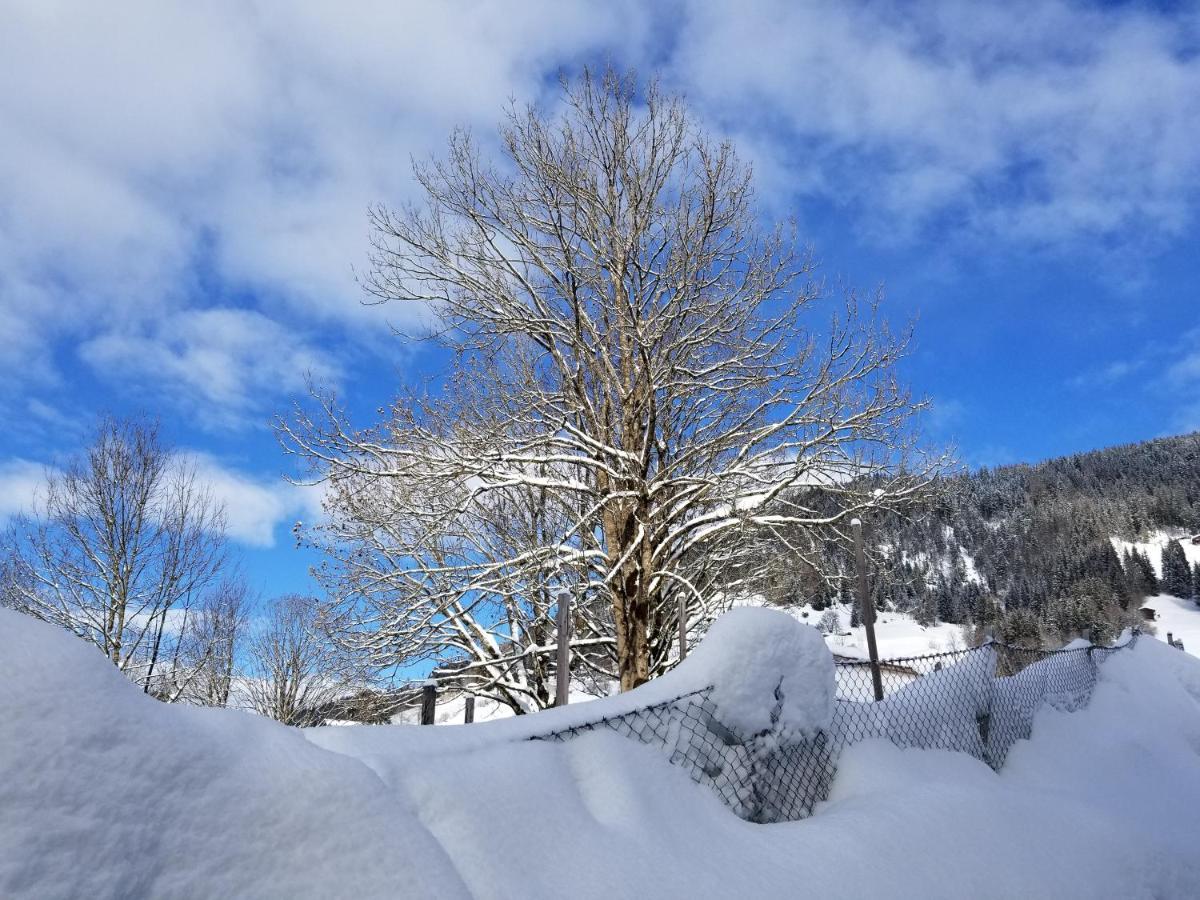 Alpenhotel Wildschoenau B&B Екстериор снимка